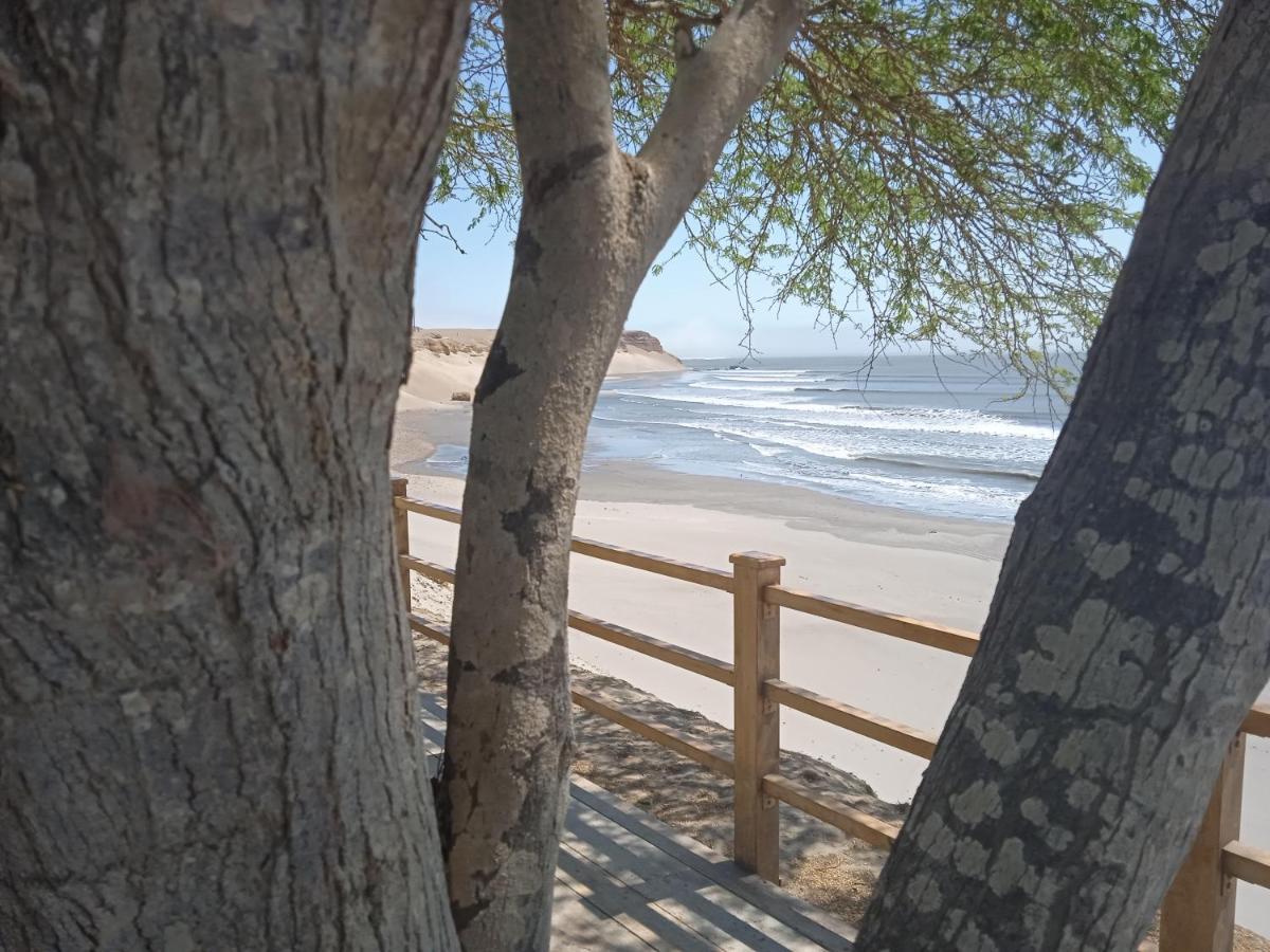 Chicama Surf Camp Hotel Пуерто Чикама Екстериор снимка